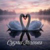 Cover Vasilii CECEGOV & Atom - Cygnus Melodies Vasilii CECEGOV & Atom - Cygnus Melodies