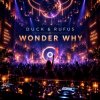 Cover Duck & Rufus - Wonder Why Duck & Rufus - Wonder Why