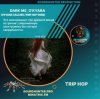 Dark Me, O'Kyara - O'Kyara Calling (Trip Hop Vers)