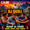 DJ GUSLI - C2H5OH