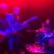 Cover Joseph Studio Friends Jam Session - Improvisation of Rock'n'roll  1993