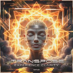 Cover Transpose (CA) - Experience Clarity (Original Mix)
