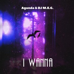 Cover Agunda, DJ M.E.G. - I Wanna