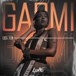 Cover Dos Ton, Dos Vibes - Garmi