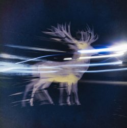 Albedo Waves - Le Feu Sauvage