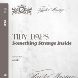Cover Tidy Daps - Something Strange Inside (Original Mix)