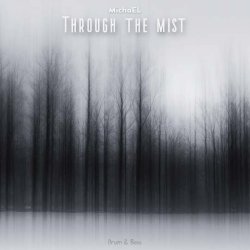 Cover MichaEL - Through the mist