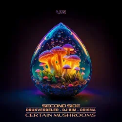 Cover Orisma & DJ Bim feat. Kata - Requiem To A Dream (Original Mix)