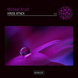 Cover House Attack