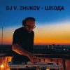 Cover Dj Vasya Zhukov - Шкода Dj Vasya Zhukov - Шкода