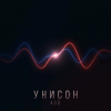 A.S.D. - Унисон