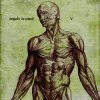 Cover Angels Around - Vesta Angels Around - Vesta