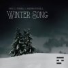 Cover Eric C. Powell & Andrea Powell - Winter Song Eric C. Powell & Andrea Powell - Winter Song