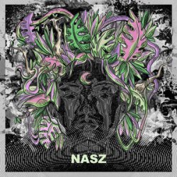 Cover Nasz - Believe