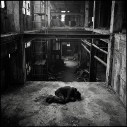 Cover SerDi - Concrete Lungs
