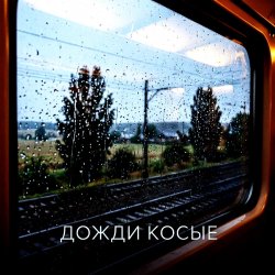 Cover Vasilii CECEGOV & Atom - Дожди косые