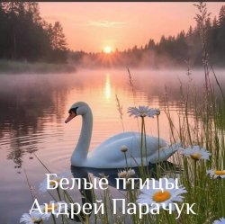 Cover Андрей Парачук - Белые птицы