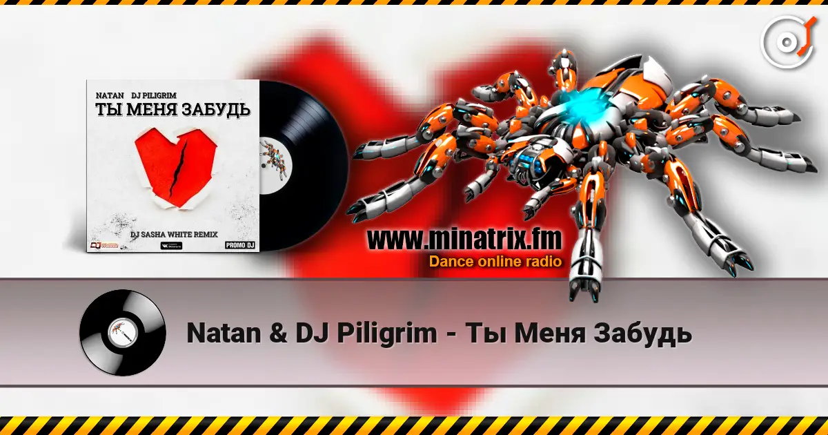Natan & DJ Piligrim - Ты Меня Забудь online in hoher Qualität hören | Minatrix.FM