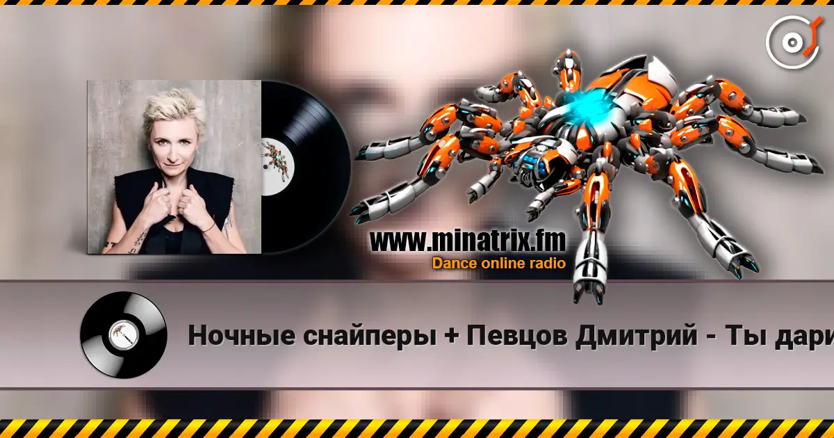 Ночные снайперы + Певцов Дмитрий - Ты дарила мне розы online in hoher Qualität hören | Minatrix.FM