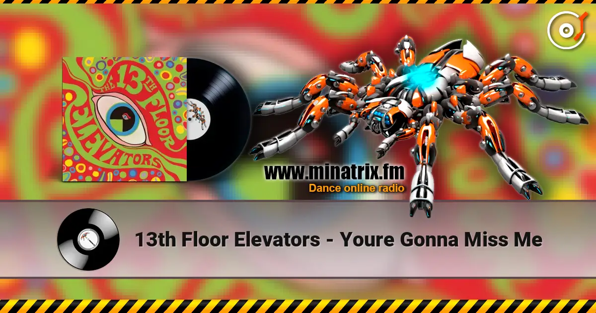 13th Floor Elevators - Youre Gonna Miss Me online in hoher Qualität hören | Minatrix.FM