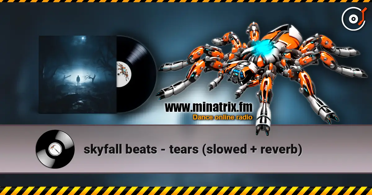 skyfall beats - tears (slowed + reverb) online in hoher Qualität hören | Minatrix.FM