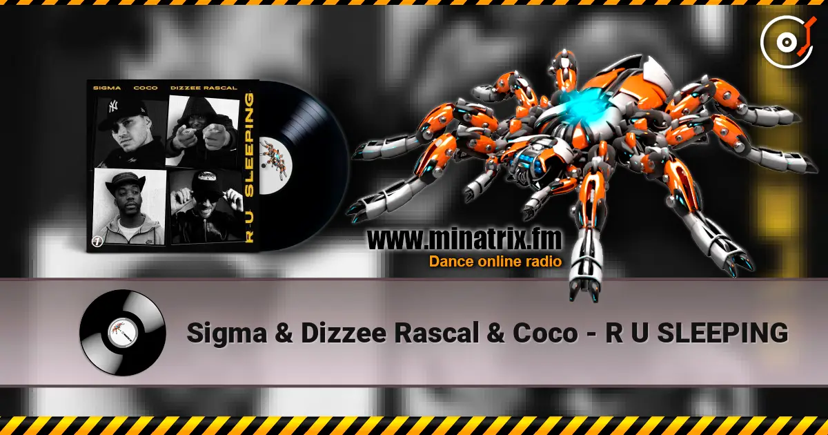 Sigma & Dizzee Rascal & Coco - R U SLEEPING online in hoher Qualität hören | Minatrix.FM