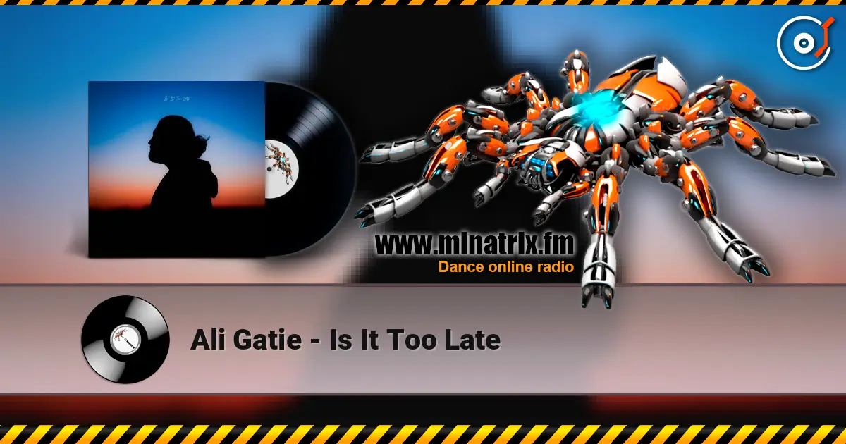 Ali Gatie - Is It Too Late online in hoher Qualität hören | Minatrix.FM