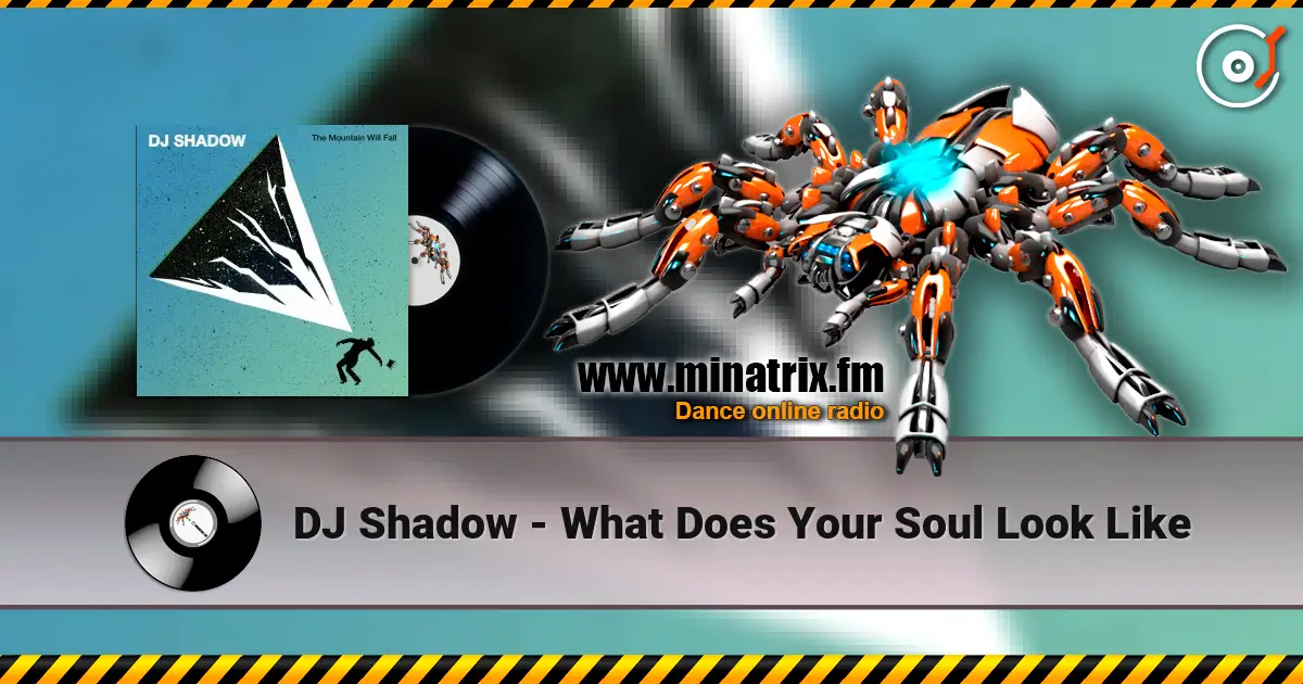 DJ Shadow - What Does Your Soul Look Like online in hoher Qualität hören | Minatrix.FM