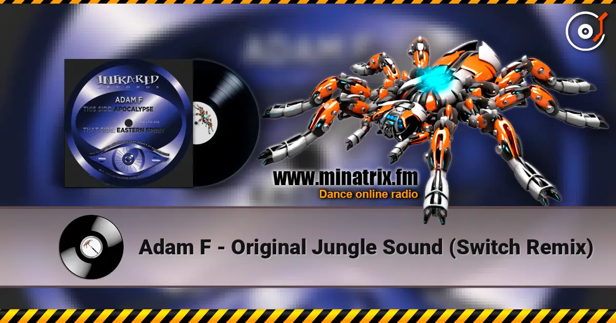 Adam F - Original Jungle Sound (Switch Remix) online in hoher Qualität hören | Minatrix.FM
