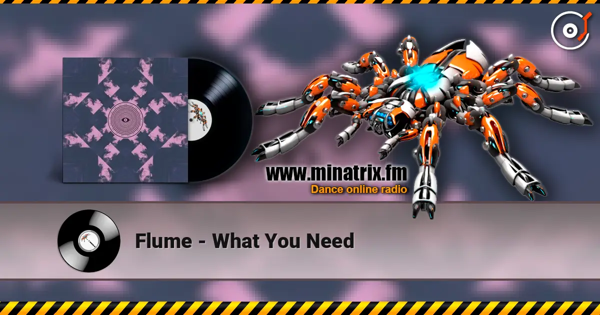 Flume - What You Need online in hoher Qualität hören | Minatrix.FM
