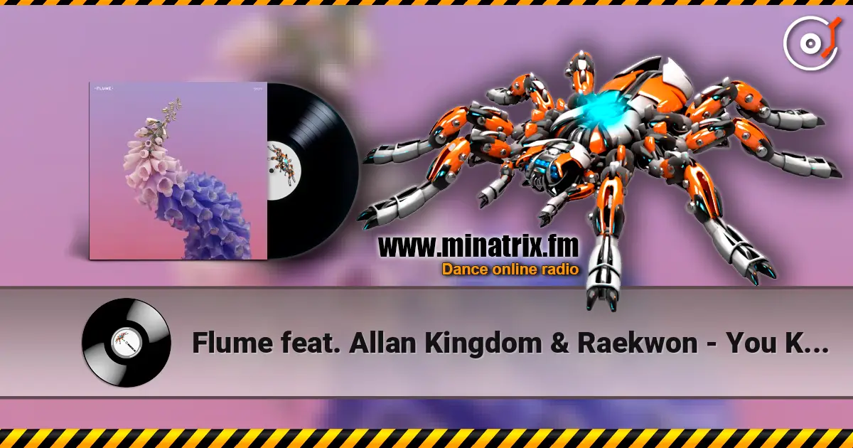 Flume feat. Allan Kingdom & Raekwon - You Know online in hoher Qualität hören | Minatrix.FM
