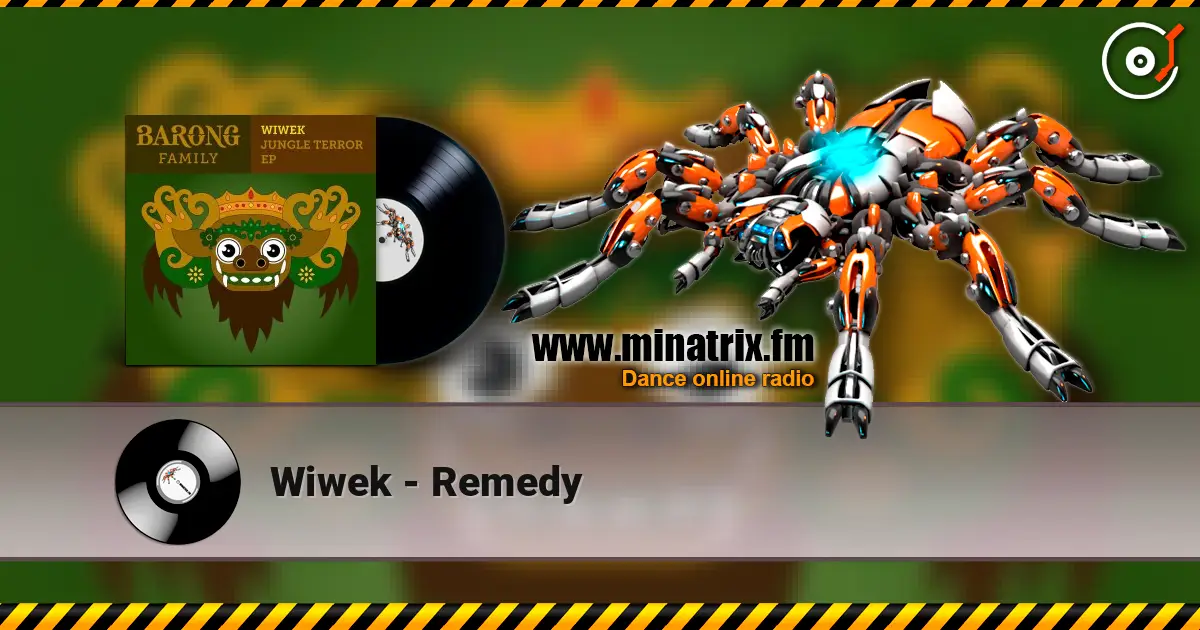 Wiwek - Remedy online in hoher Qualität hören | Minatrix.FM