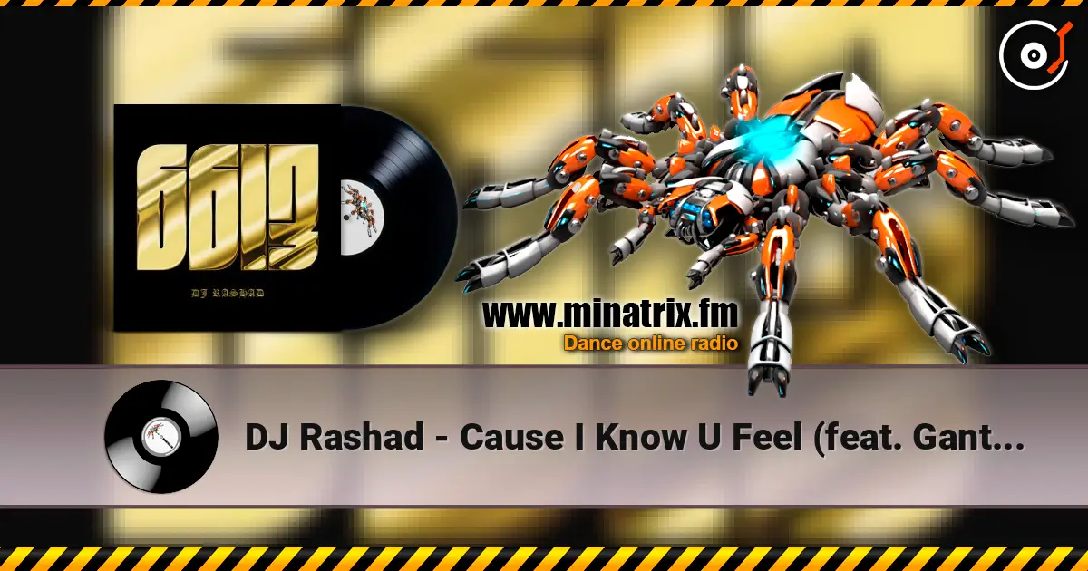 DJ Rashad - Cause I Know U Feel (feat. Gant-Man) online in hoher Qualität hören | Minatrix.FM