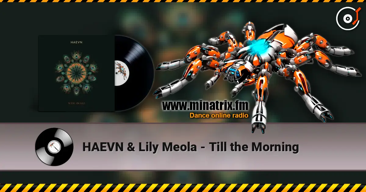 HAEVN & Lily Meola - Till the Morning online in hoher Qualität hören | Minatrix.FM