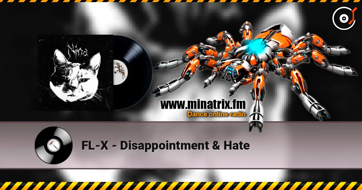 FL-X - Disappointment & Hate online in hoher Qualität hören | Minatrix.FM