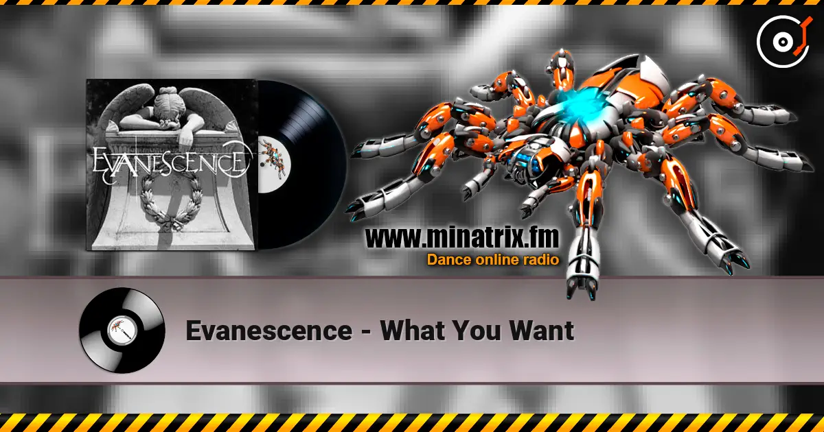 Evanescence - What You Want online in hoher Qualität hören | Minatrix.FM