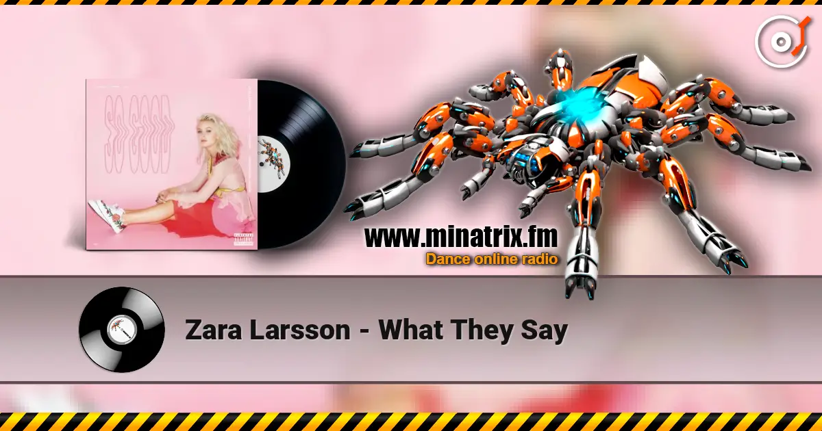 Zara Larsson - What They Say online in hoher Qualität hören | Minatrix.FM