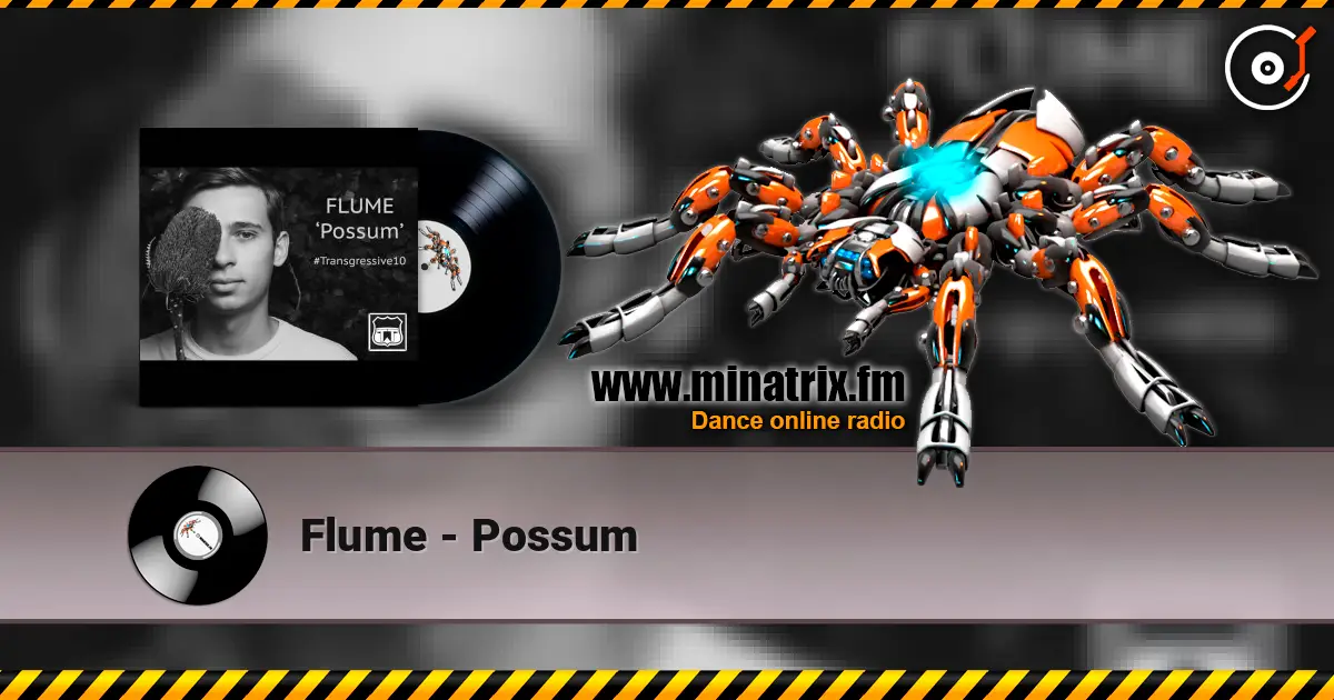 Flume - Possum online in hoher Qualität hören | Minatrix.FM