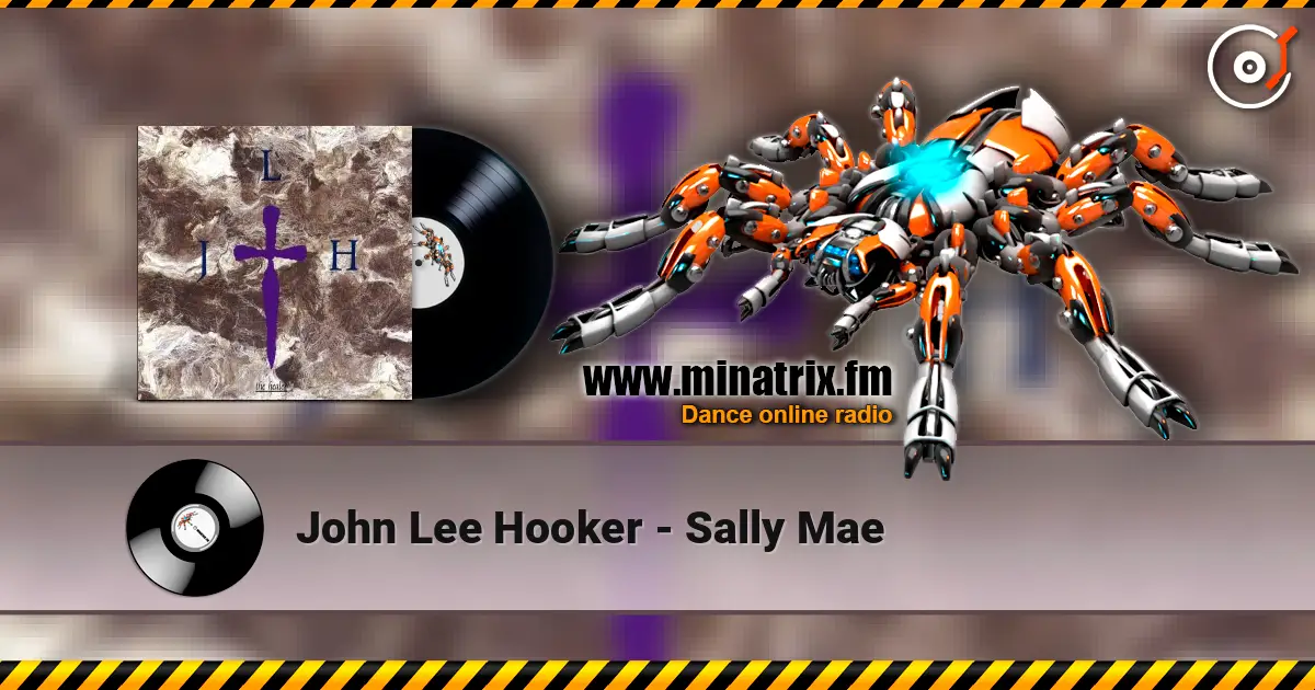 John Lee Hooker - Sally Mae online in hoher Qualität hören | Minatrix.FM