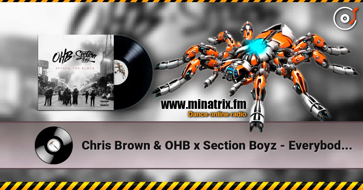 Chris Brown & OHB x Section Boyz - Everybody (feat. Chris Brown & Young Lo) online in hoher Qualität hören | Minatrix.FM