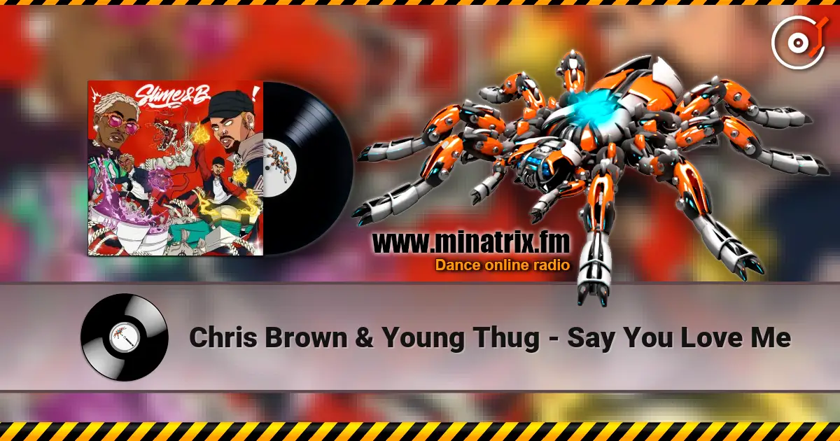 Chris Brown & Young Thug - Say You Love Me online in hoher Qualität hören | Minatrix.FM