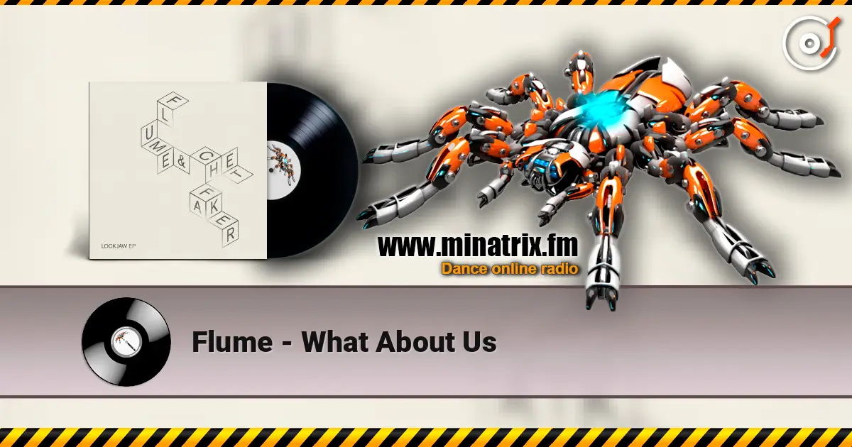 Flume - What About Us online in hoher Qualität hören | Minatrix.FM