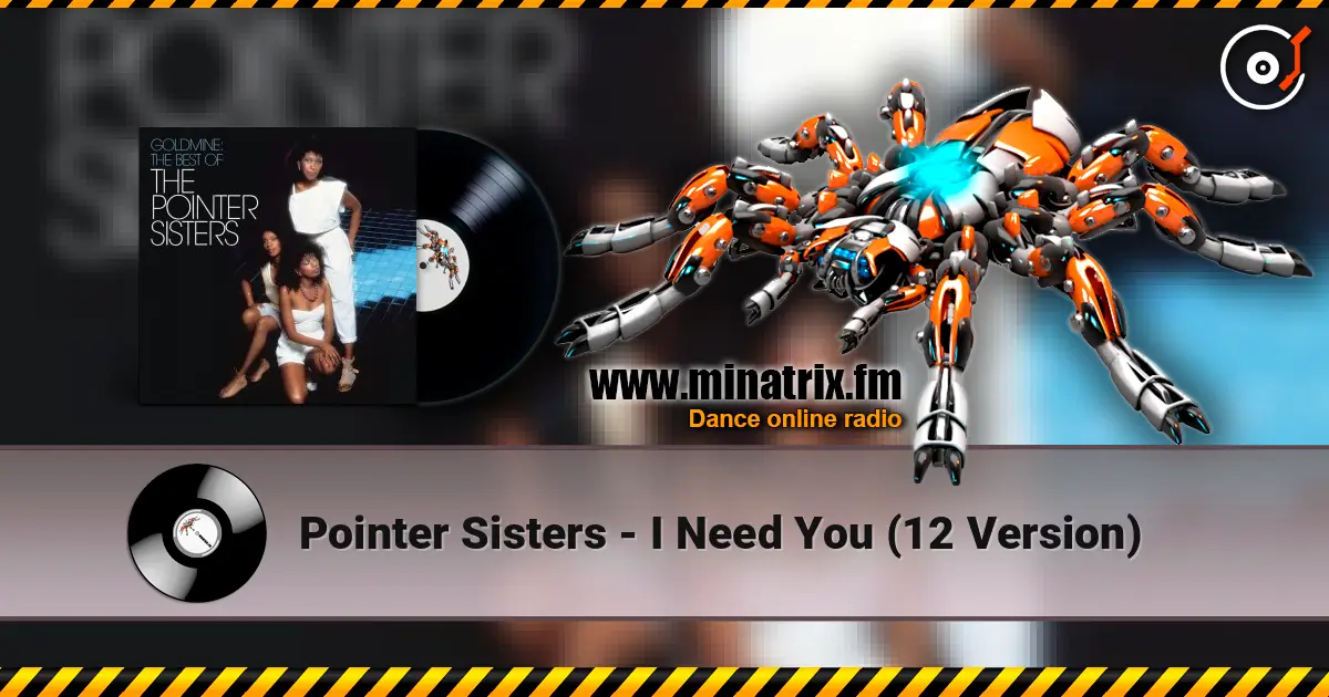 Pointer Sisters - I Need You  (12 Version) online in hoher Qualität hören | Minatrix.FM