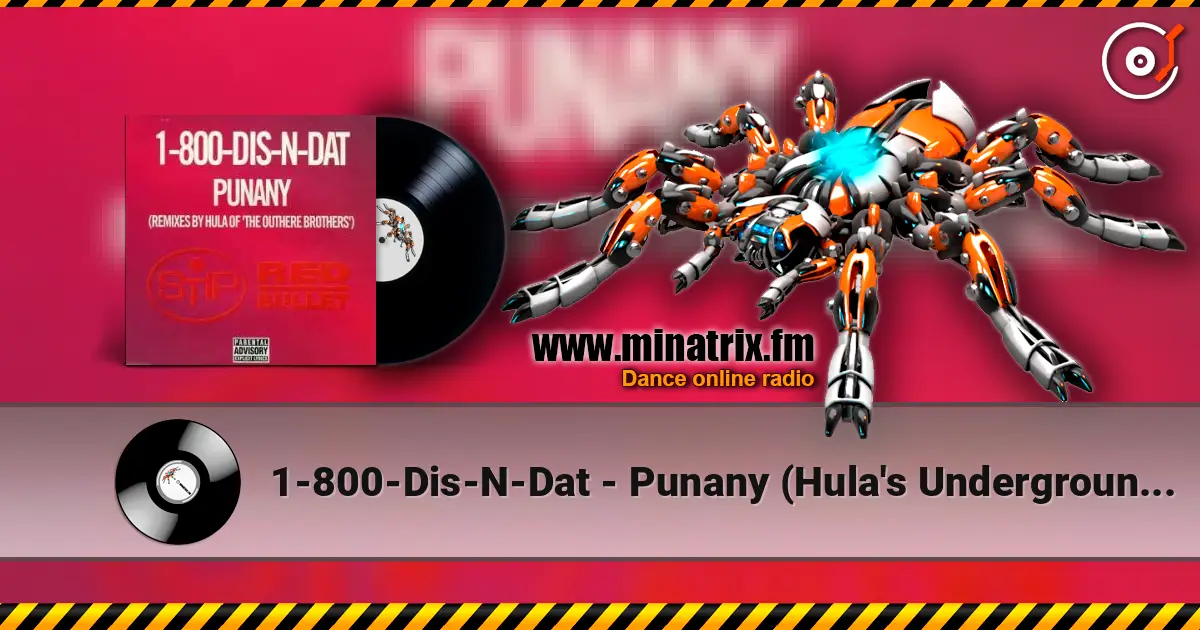 1-800-Dis-N-Dat - Punany (Hula's Underground Long) online in hoher Qualität hören | Minatrix.FM