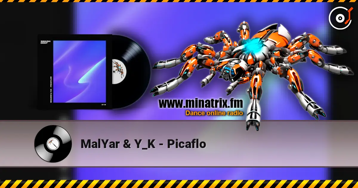 MalYar & Y_K - Picaflo online in hoher Qualität hören | Minatrix.FM