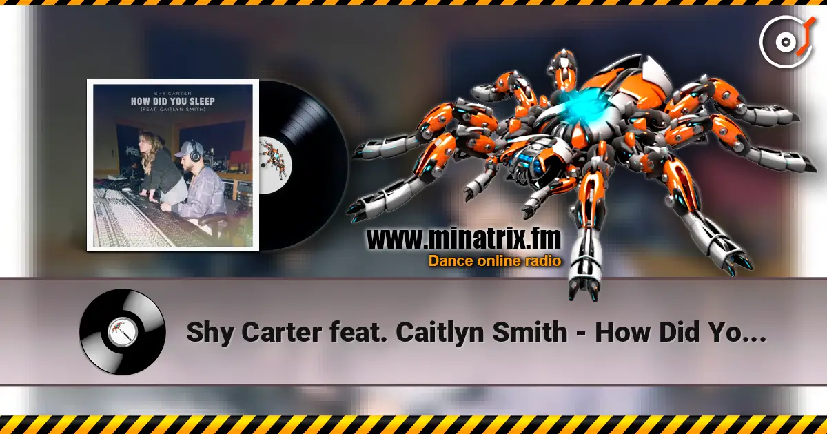 Shy Carter feat. Caitlyn Smith - How Did You Sleep online in hoher Qualität hören | Minatrix.FM