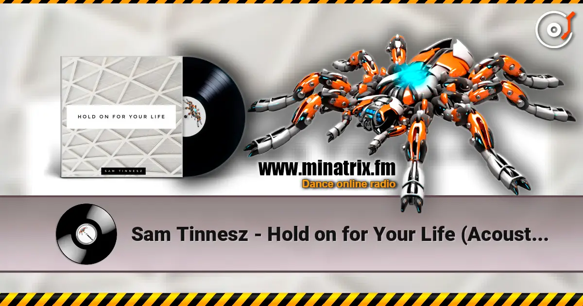 Sam Tinnesz - Hold on for Your Life (Acoustic) online in hoher Qualität hören | Minatrix.FM