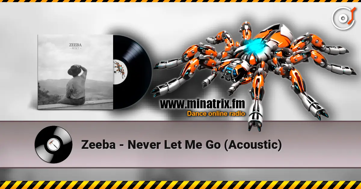 Zeeba - Never Let Me Go (Acoustic) online in hoher Qualität hören | Minatrix.FM