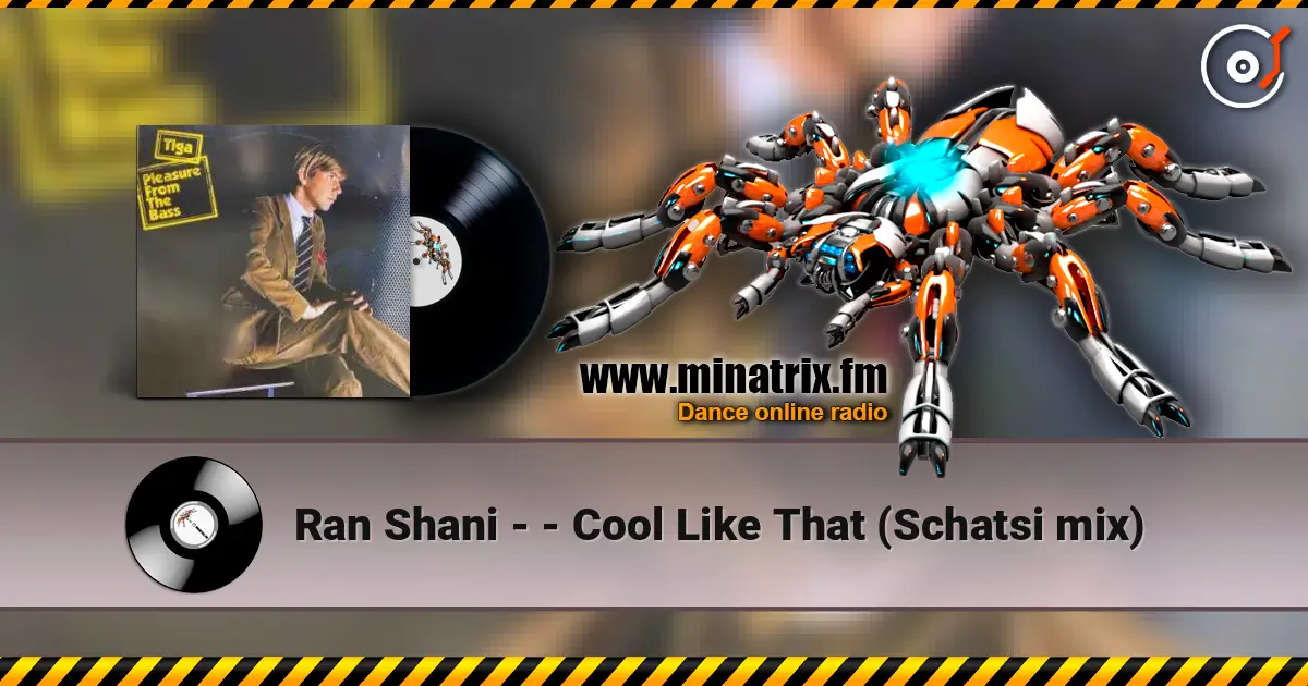 Ran Shani - - Cool Like That (Schatsi mix) online in hoher Qualität hören | Minatrix.FM