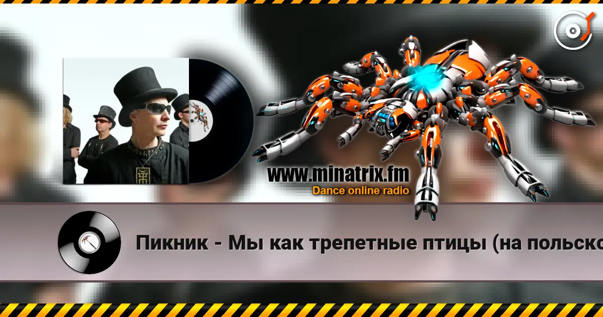 Пикник - Мы как трепетные птицы (на польском языке) online in hoher Qualität hören | Minatrix.FM